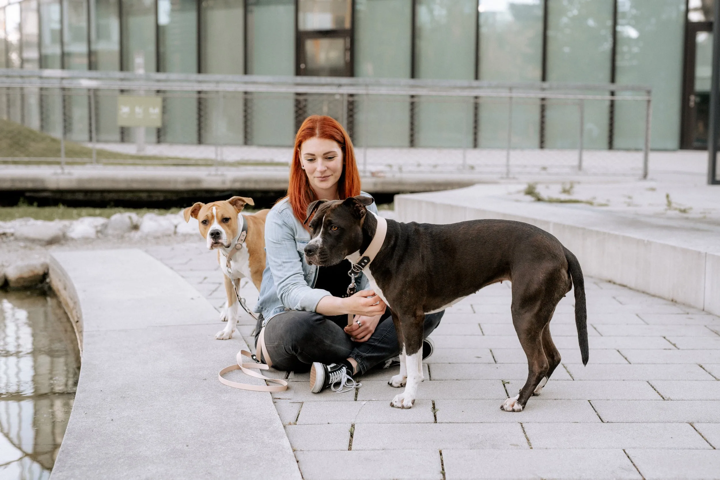 Ich sitze mit meinen Hunden Fritzi und Toni in der Stadt